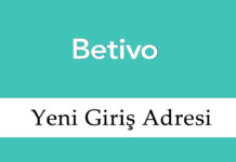 Betivo147 Yeni Giriş – Betivo 147 Adres 